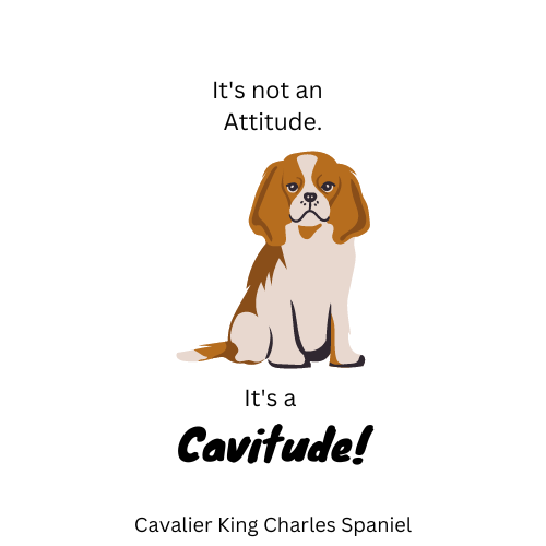 Cavitude.com Logo